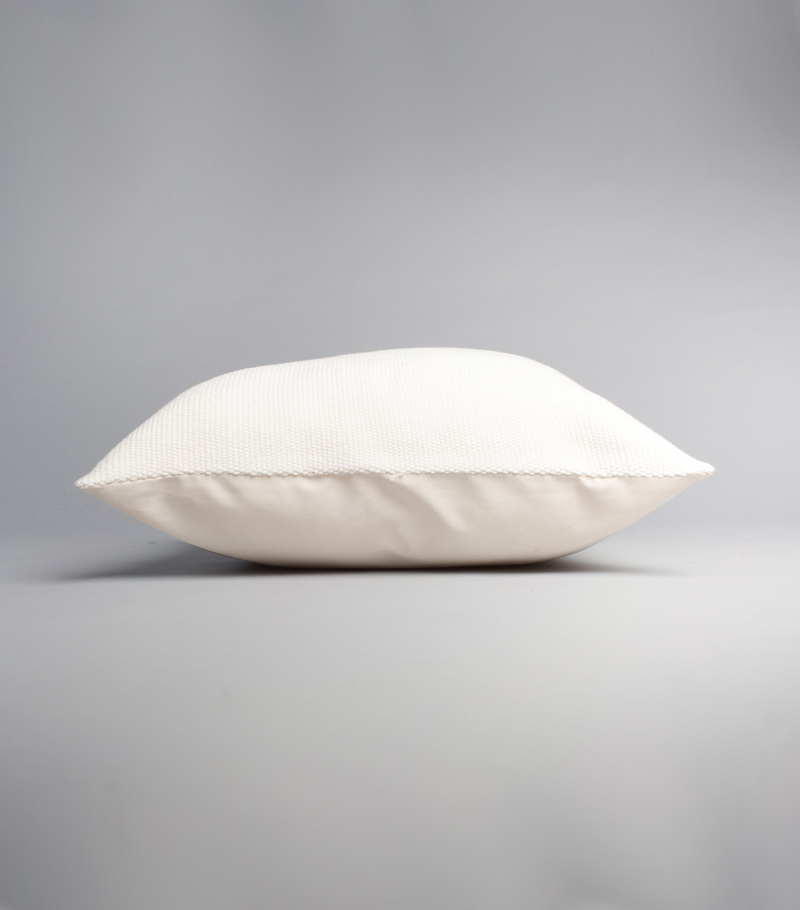 Solid Cotton Euro Pillow in Ivory